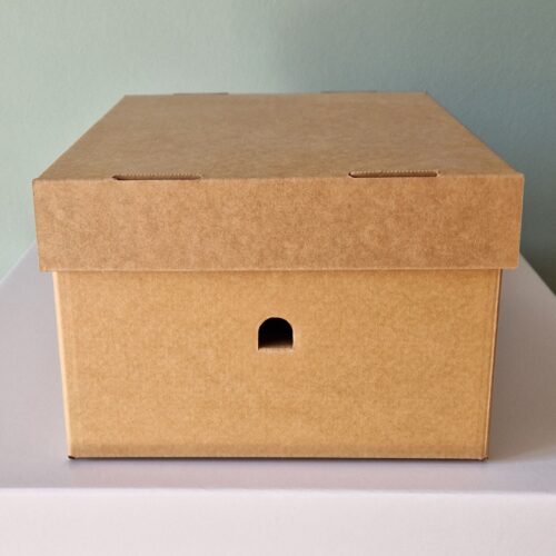 Kiste A4 10er-Pack natur